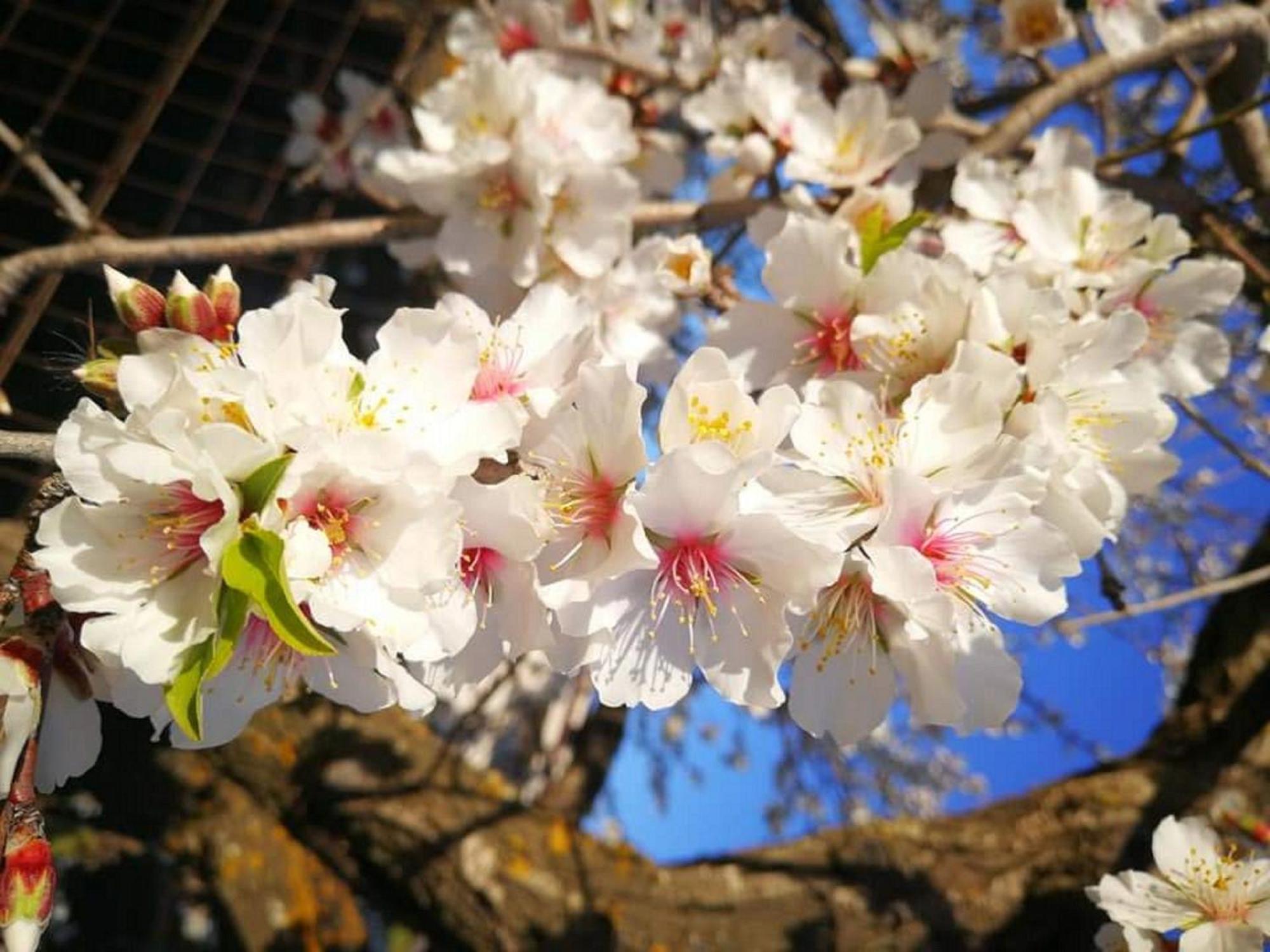 Lala Salama San Leone Ngoại thất bức ảnh